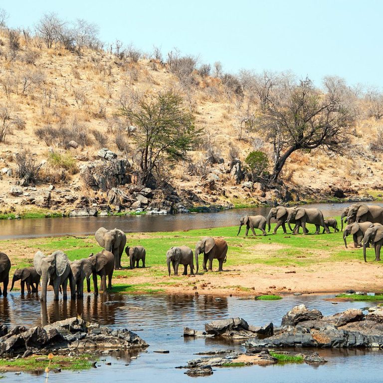 ruaha01