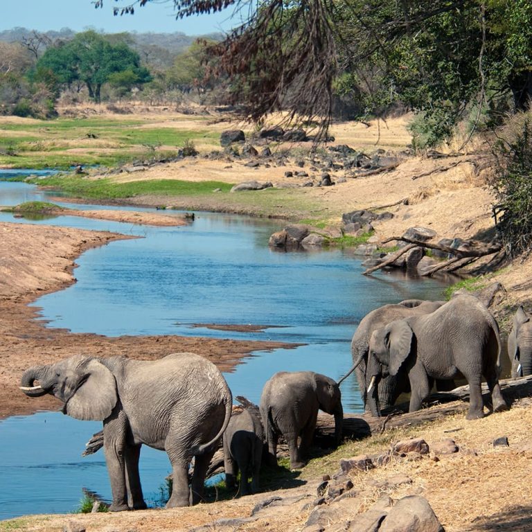 ruaha02